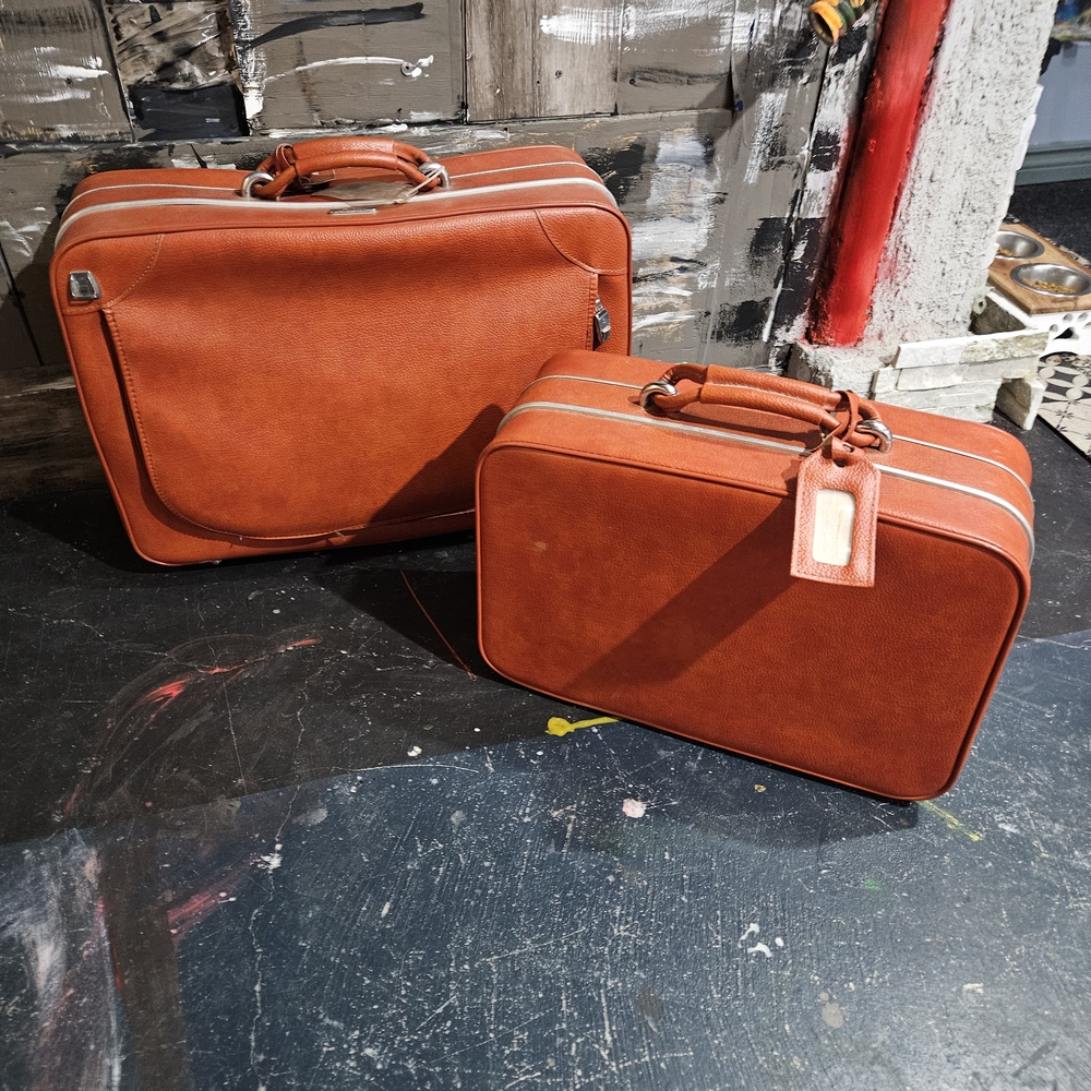 Stylish Orange 2pc Luggage Set